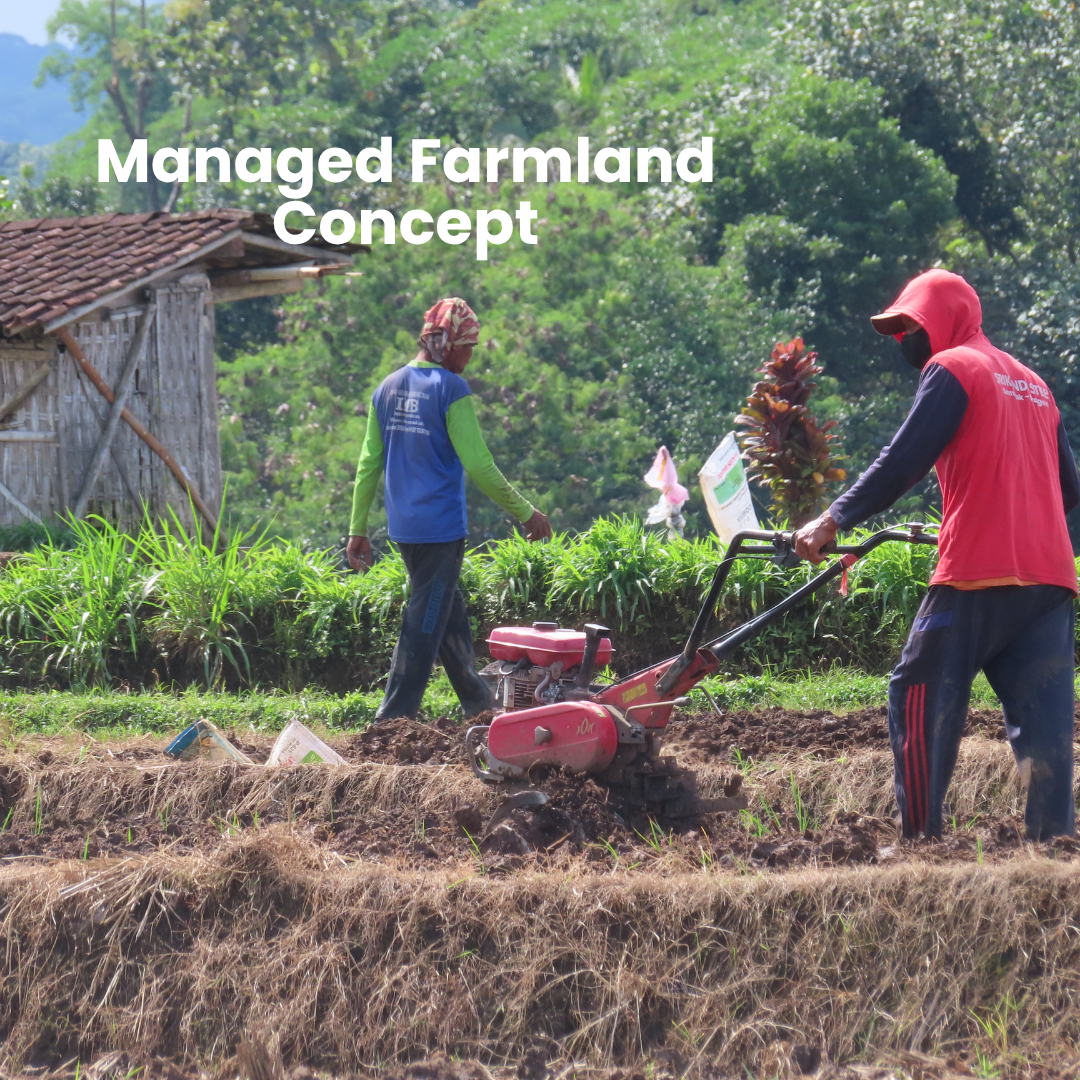 Managed Farmland Concept